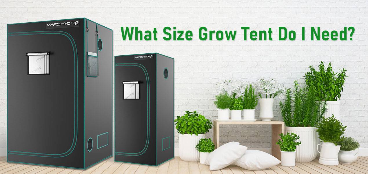 What size grow tent do I need for 4,6,8, over 10 plants?
